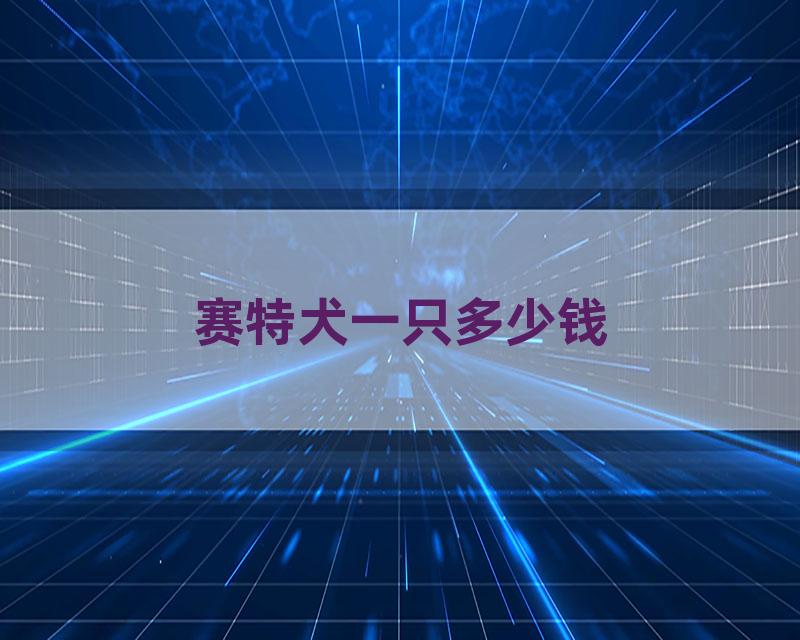 赛特犬一只多少钱