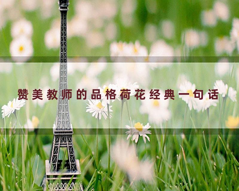 赞美教师的品格荷花经典一句话