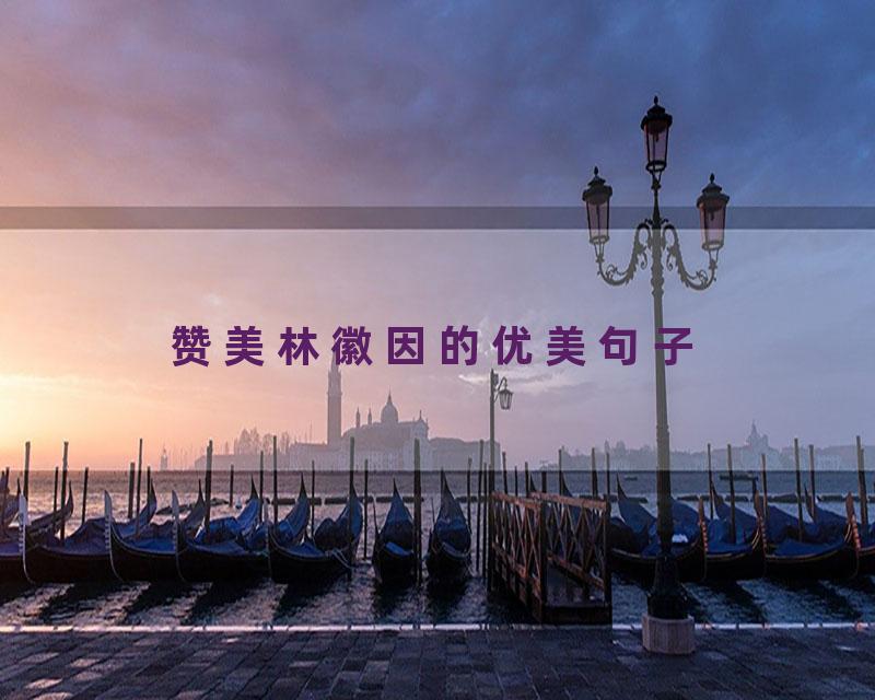 赞美林徽因的优美句子