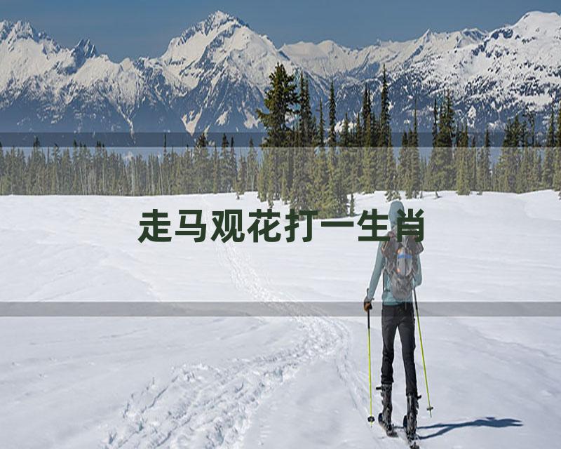 走马观花打一生肖