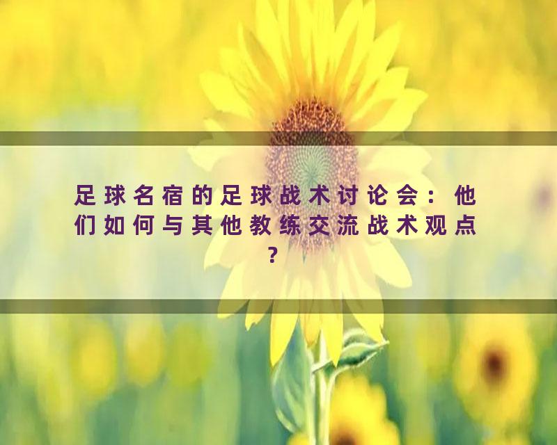 足球名宿的足球战术讨论会：他们如何与其他教练交流战术观点？