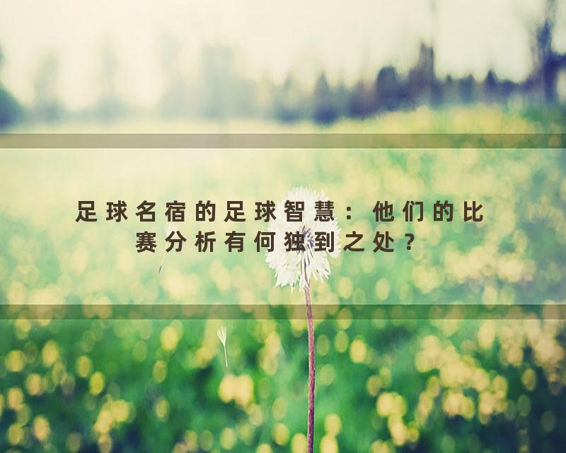 足球名宿的足球智慧：他们的比赛分析有何独到之处？