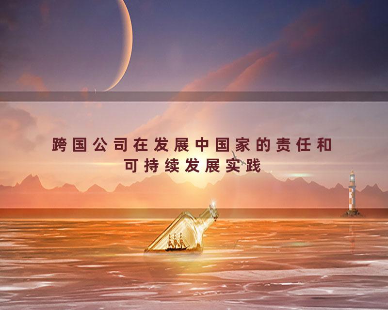 跨国公司在发展中国家的责任和可持续发展实践