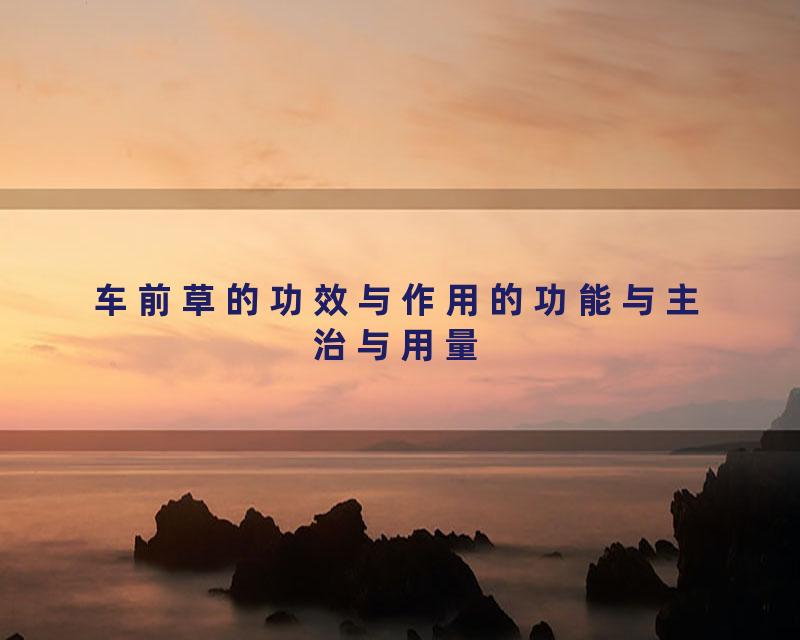 车前草的功效与作用的功能与主治与用量