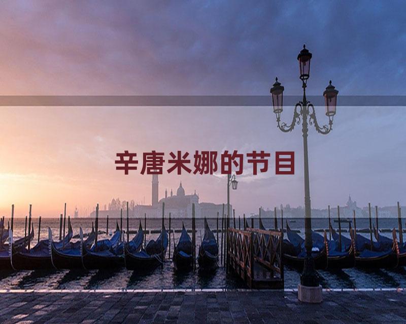 辛唐米娜的节目