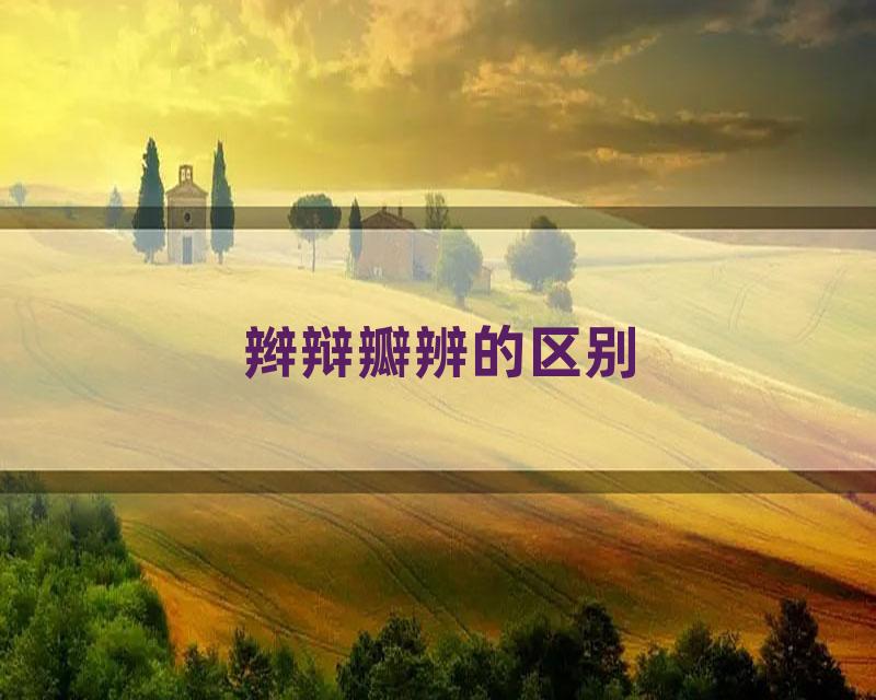 辫辩瓣辨的区别