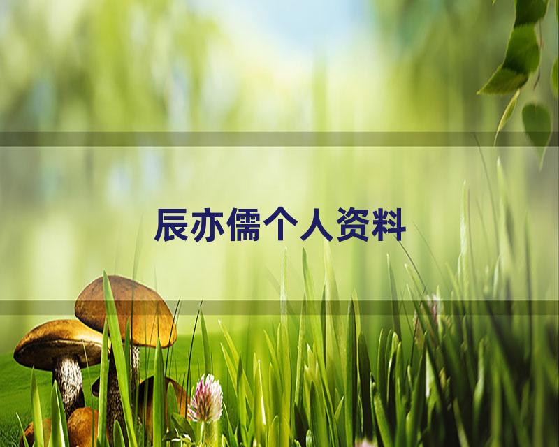 辰亦儒个人资料