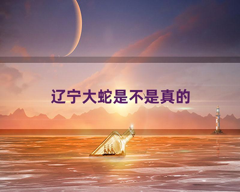 辽宁大蛇是不是真的