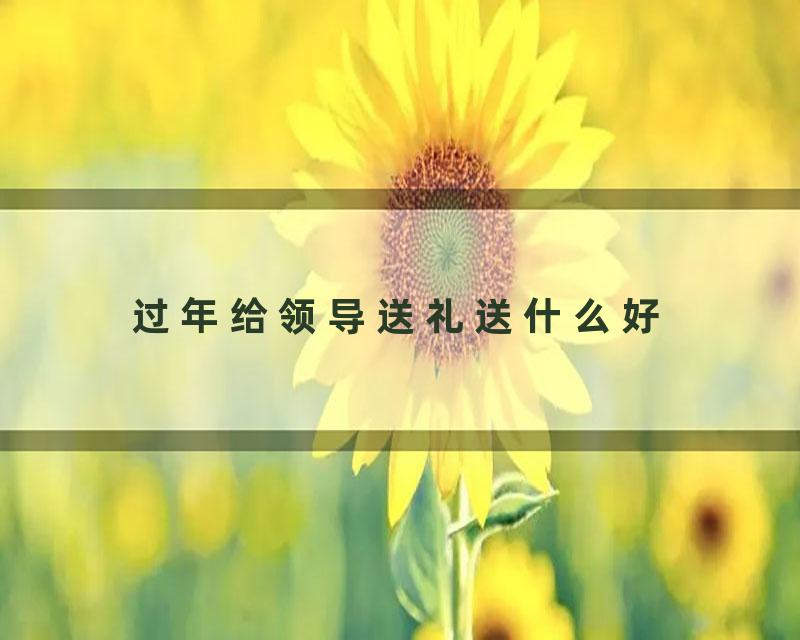 过年给领导送礼送什么好