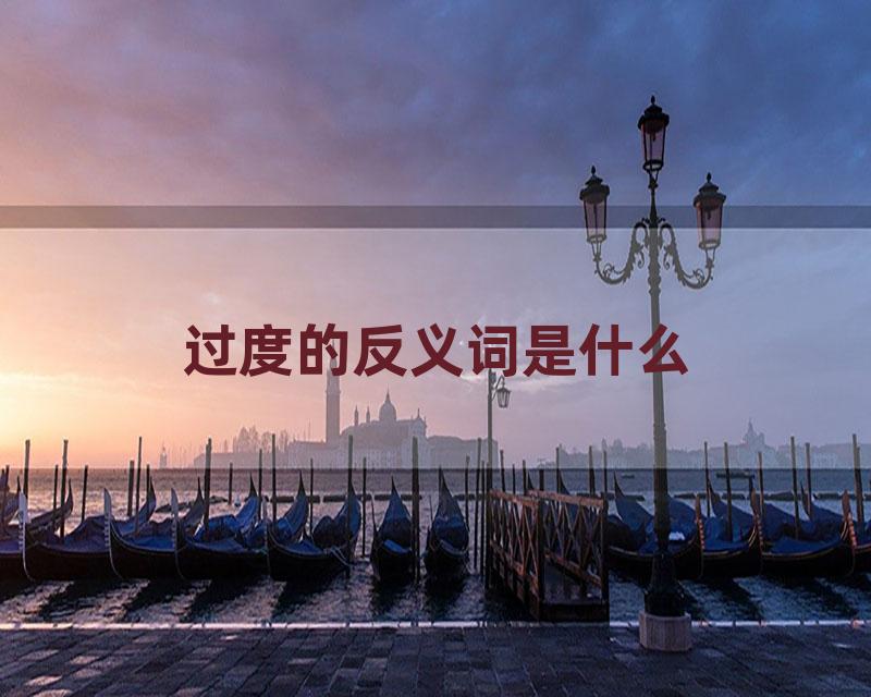 过度的反义词是什么
