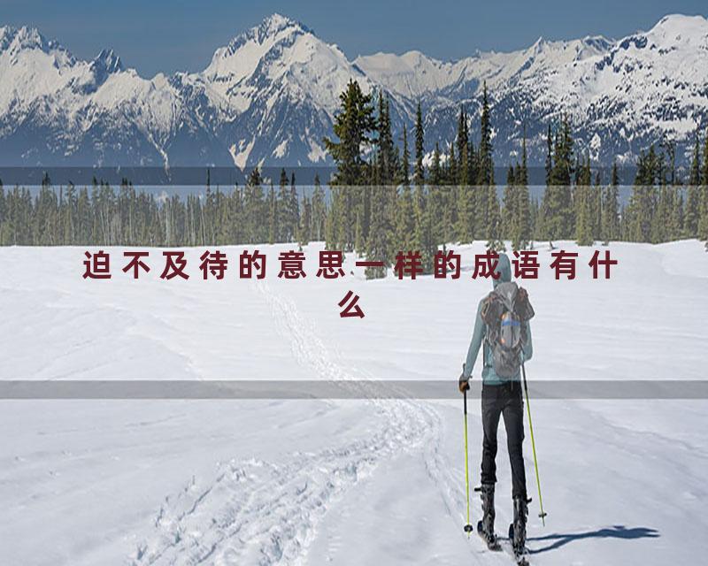 迫不及待的意思一样的成语有什么