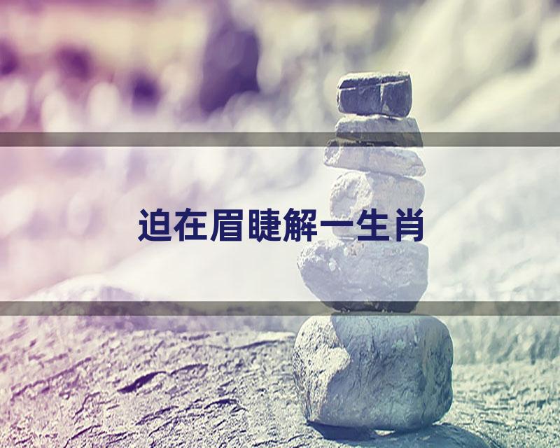 迫在眉睫解一生肖