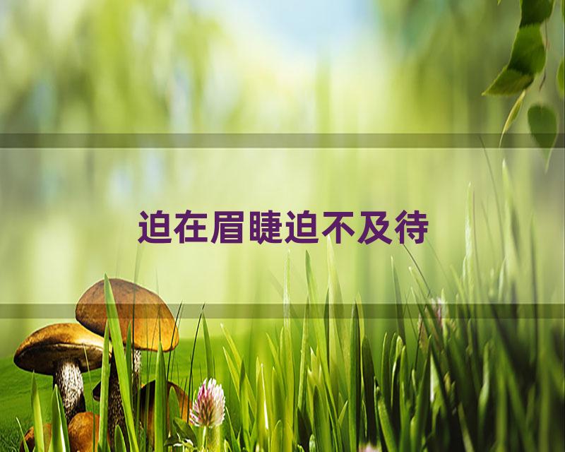 迫在眉睫迫不及待