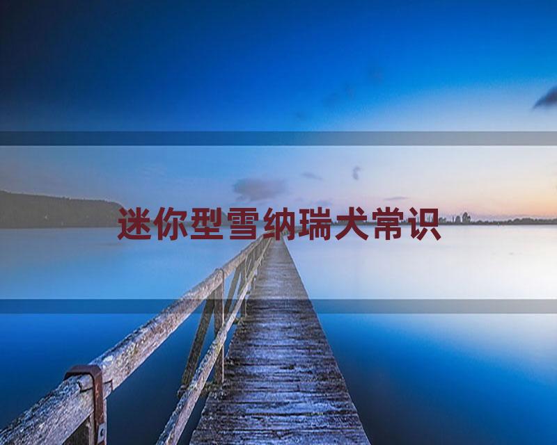 迷你型雪纳瑞犬常识