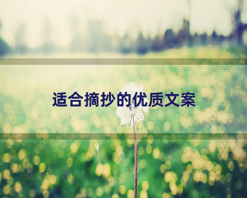 适合摘抄的优质文案