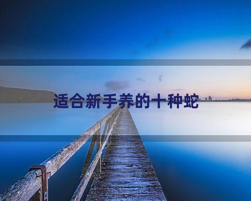 适合新手养的十种蛇