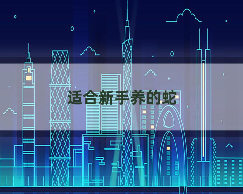 适合新手养的蛇