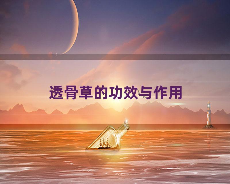 透骨草的功效与作用