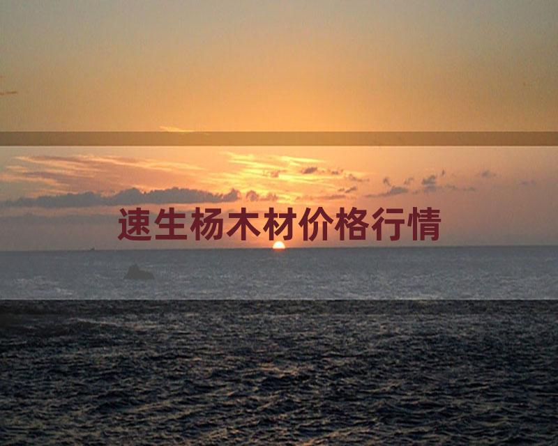 速生杨木材价格行情