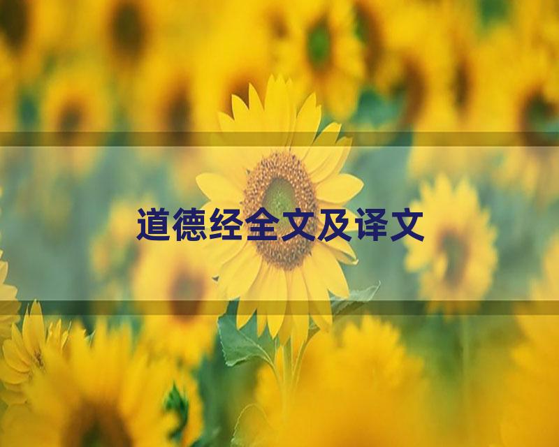 道德经全文及译文