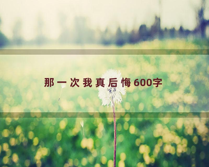 那一次我真后悔600字