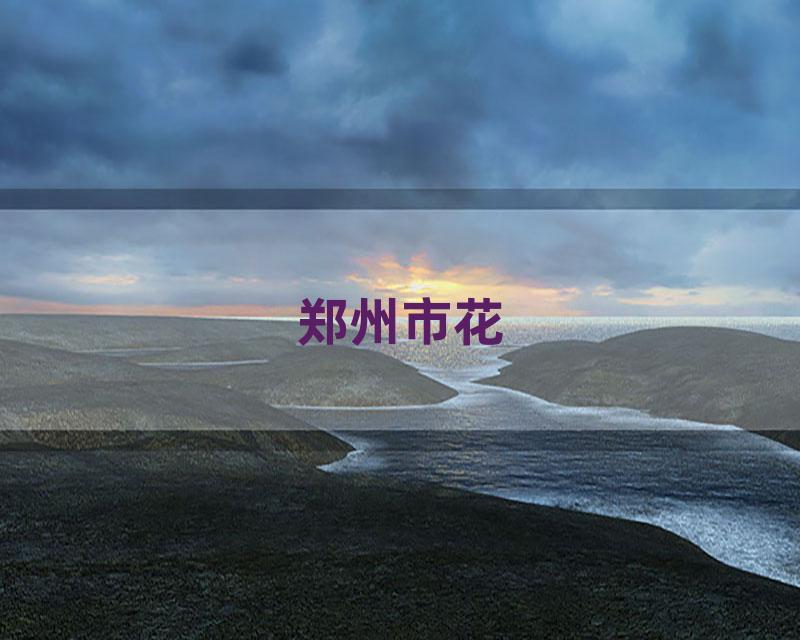 郑州市花