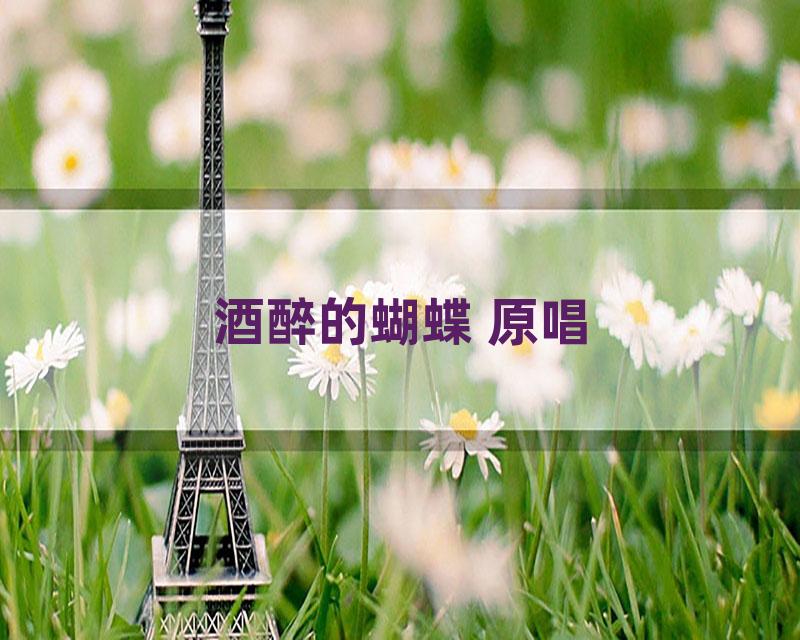酒醉的蝴蝶 原唱