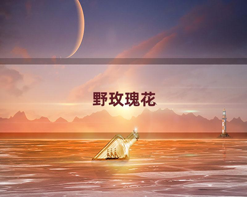 野玫瑰花
