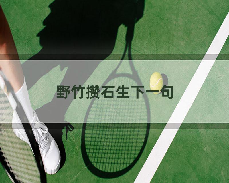 野竹攒石生下一句