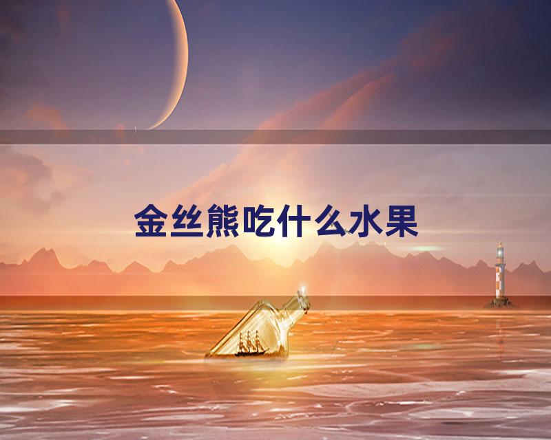 金丝熊吃什么水果