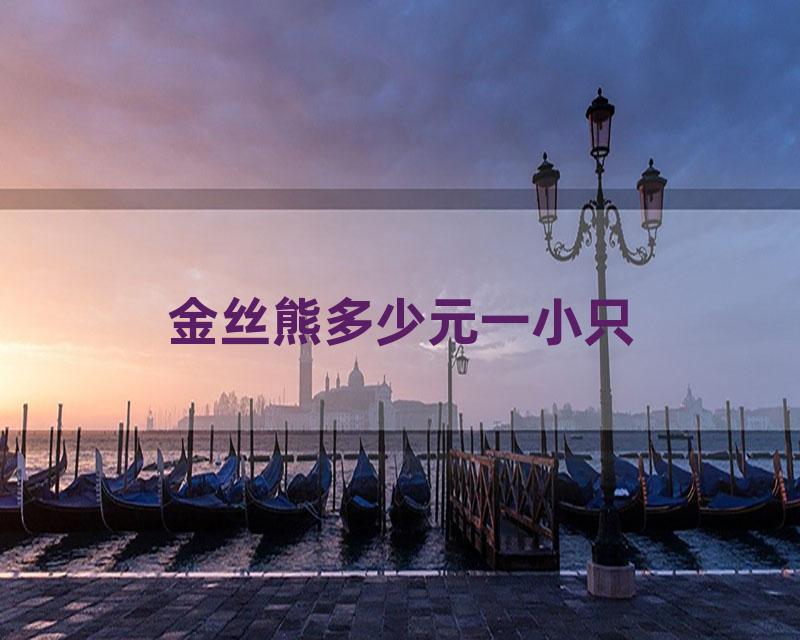 金丝熊多少元一小只