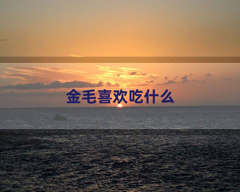 金毛喜欢吃什么