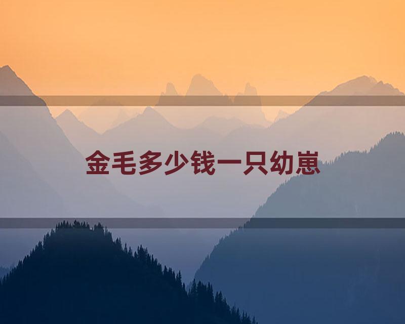 金毛多少钱一只幼崽