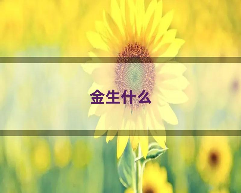金生什么