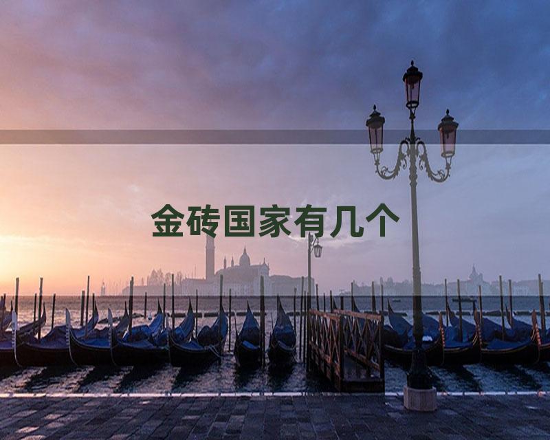金砖国家有几个
