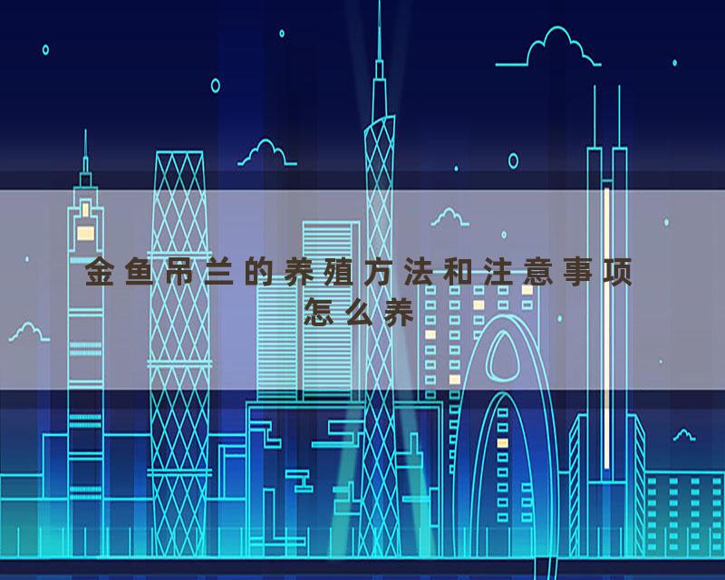 金鱼吊兰的养殖方法和注意事项怎么养