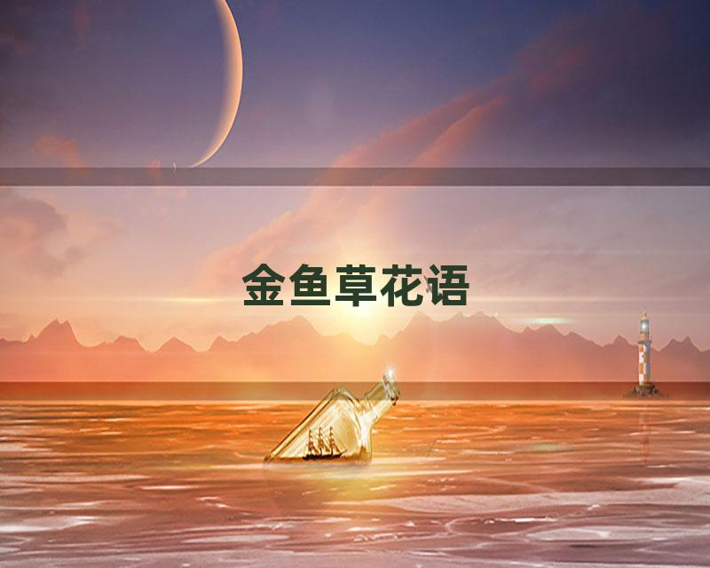 金鱼草花语