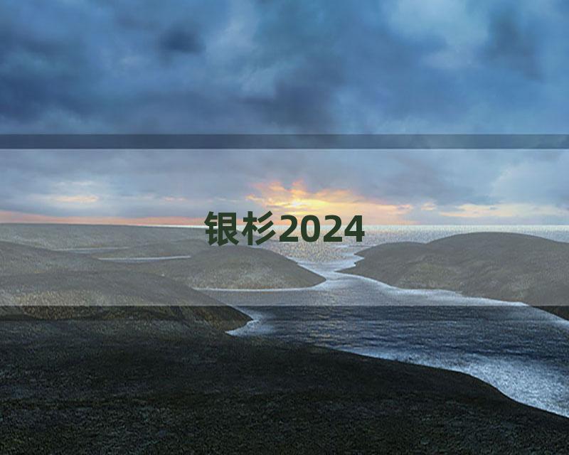 银杉2024
