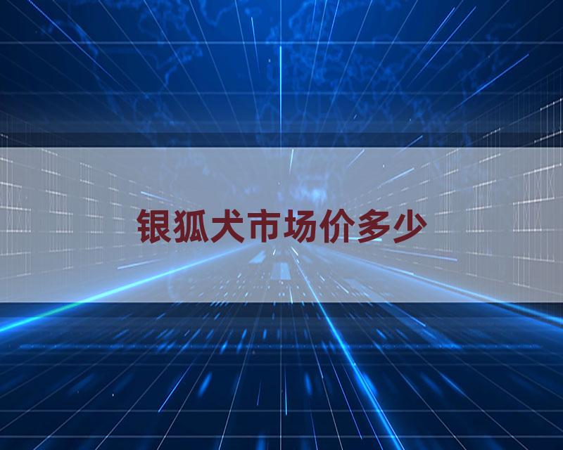 银狐犬市场价多少