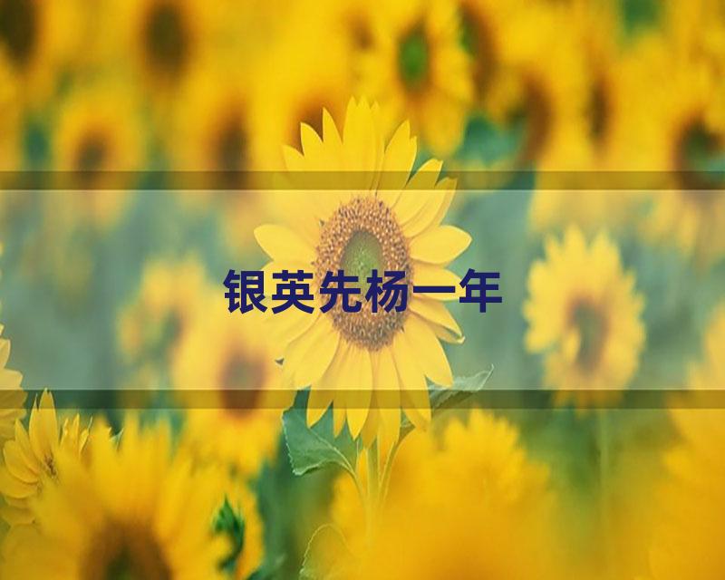 银英先杨一年