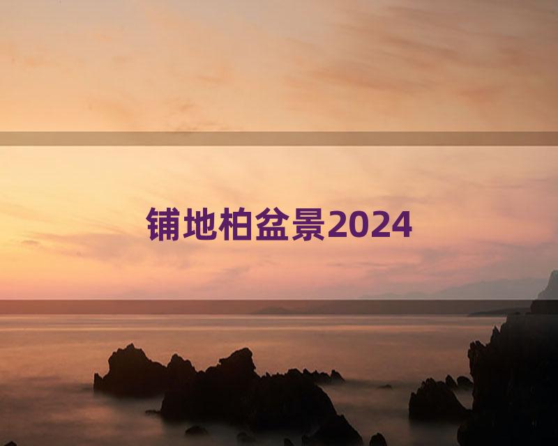 铺地柏盆景2024