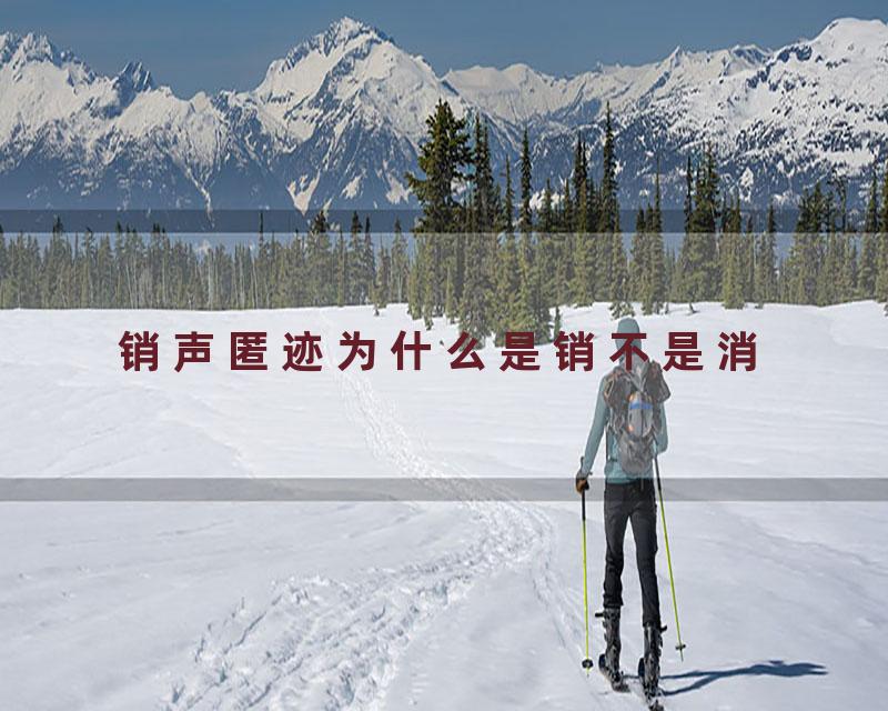 销声匿迹为什么是销不是消