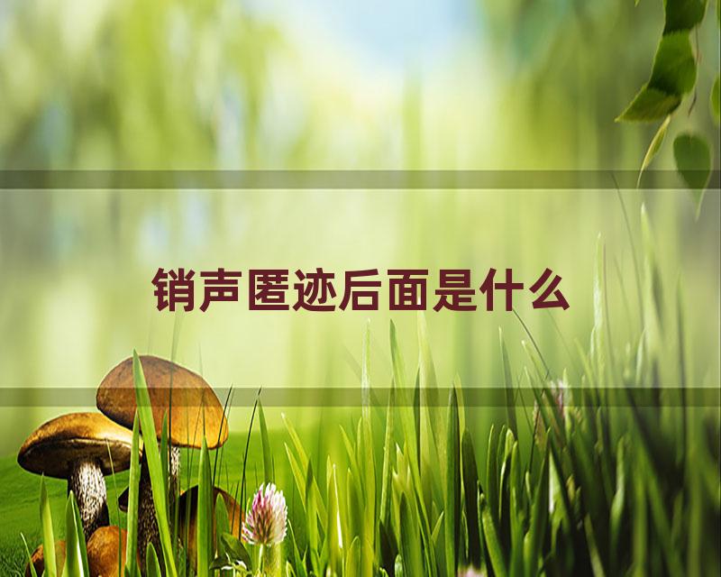 销声匿迹后面是什么