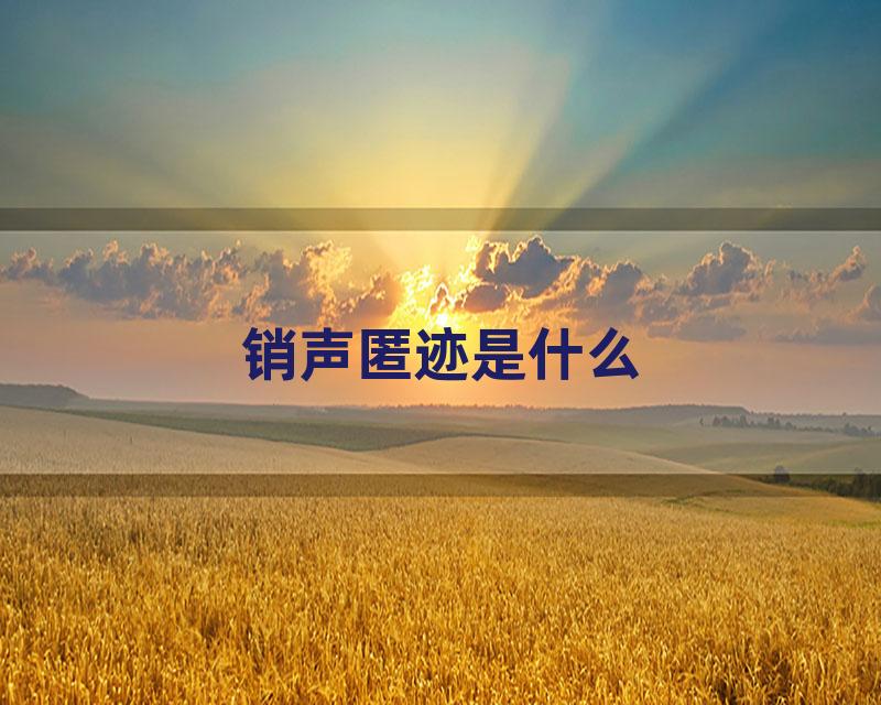 销声匿迹是什么