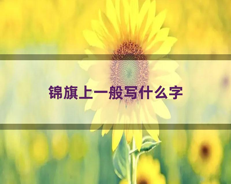 锦旗上一般写什么字