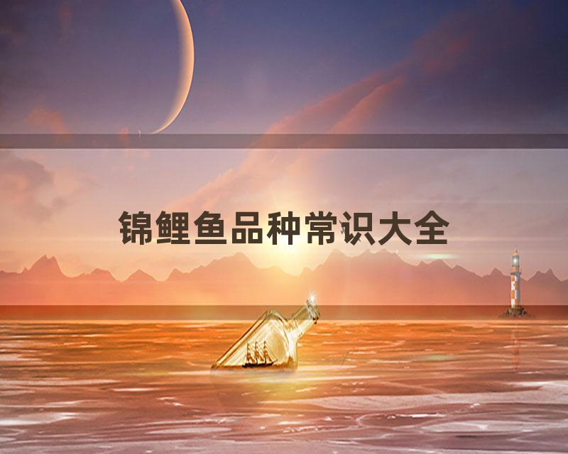 锦鲤鱼品种常识大全