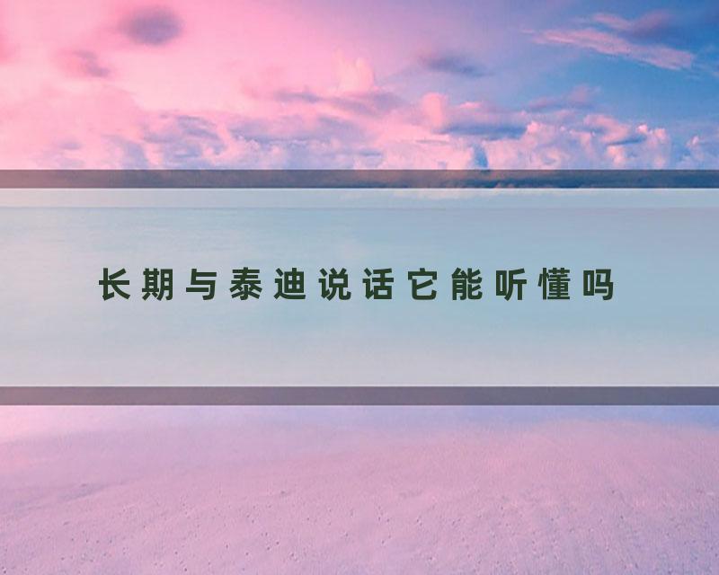 长期与泰迪说话它能听懂吗
