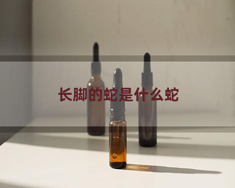 长脚的蛇是什么蛇