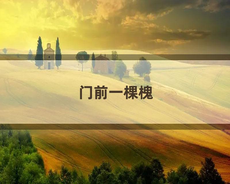 门前一棵槐