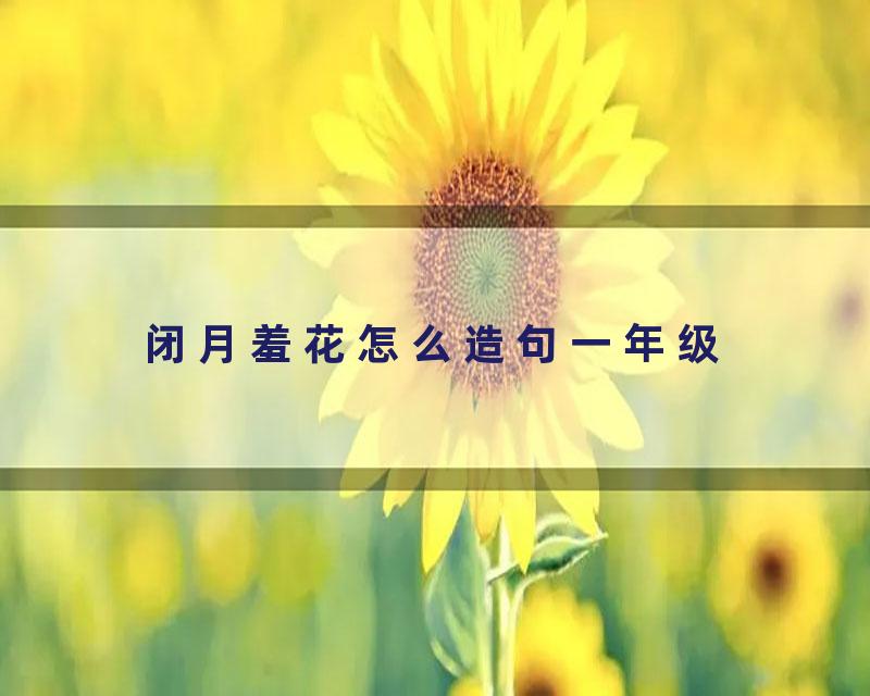 闭月羞花怎么造句一年级